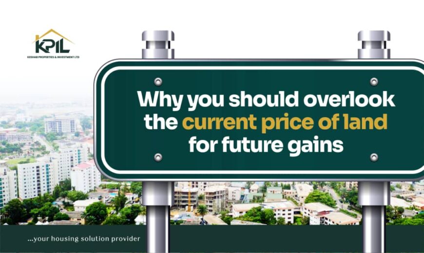 Why You Should Overlook the Current Price of Land for Future Gains